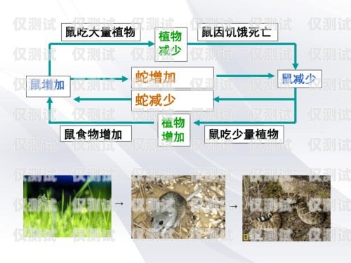 沈陽外呼系統(tǒng)穩(wěn)定嗎？沈陽外呼公司