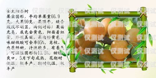 貴陽(yáng)銷售外呼系統(tǒng)報(bào)價(jià)指南貴陽(yáng)外呼公司有哪些